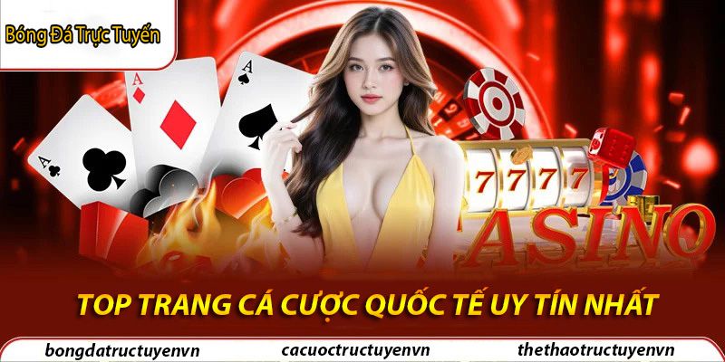 Top các trang cá cược quốc tế uy tín hàng đầu năm 1 Các trang cá cược quốc tế uy tín