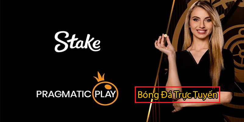 Top 5 trang chơi casino trực tuyến uy tín nhất Việt Nam 5 Trang chơi casino trực tuyến uy tín nhất Châu Âu – STAKE