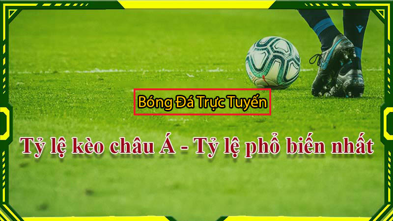 Tỷ lệ cá cược bóng đá EURO - WORLD CUP mới nhất hôm nay 4 tỷ lệ cá cược bóng đá kèo châu á